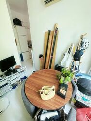 Loft @ Stevens (D10), Apartment #574074011